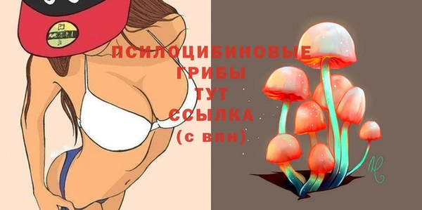 2c-b Богданович