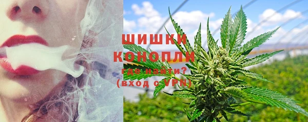 ПСИЛОЦИБИНОВЫЕ ГРИБЫ Богородицк