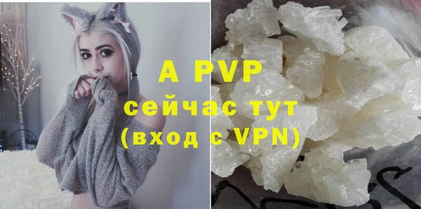 ПСИЛОЦИБИНОВЫЕ ГРИБЫ Богородицк