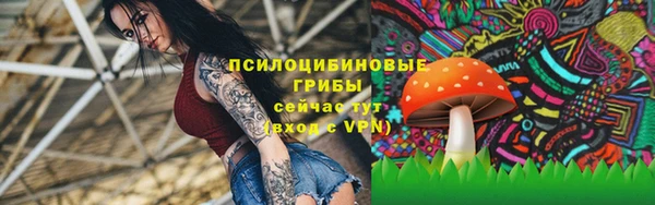 2c-b Богданович