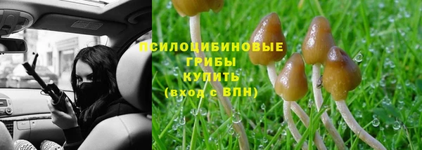 2c-b Богданович