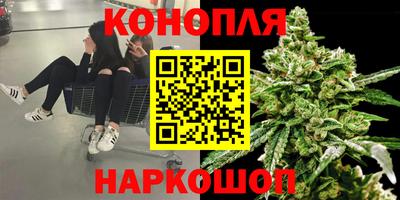 Альфа ПВП Донской