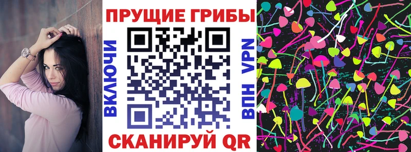 Псилоцибиновые грибы ЛСД где купить наркотик Минеральные Воды