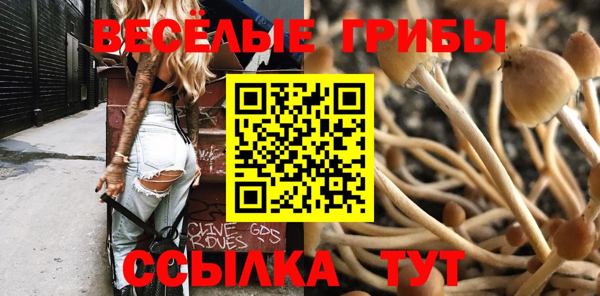 Галлюциногенные грибы Cubensis Минеральные Воды